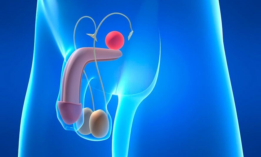 Edema della prostata con prostatite